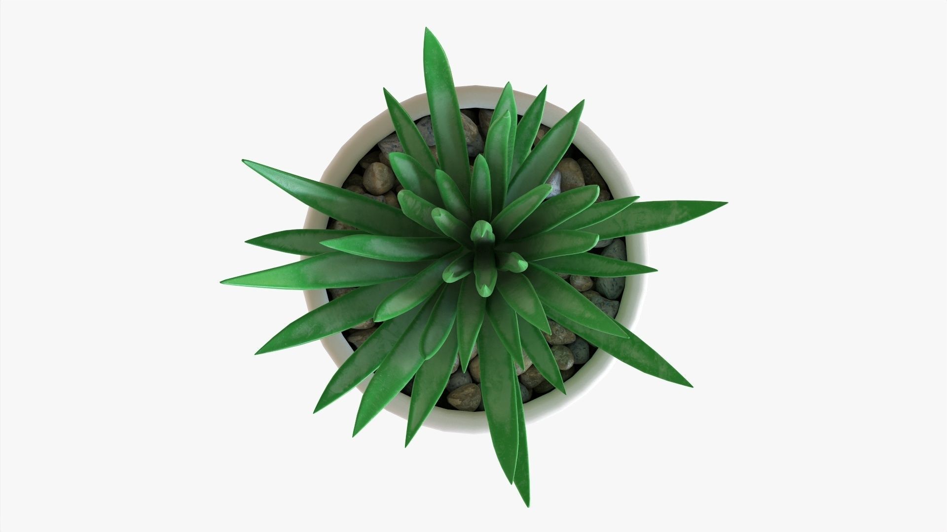 Decorative succulent potted plant 11 3D model_5