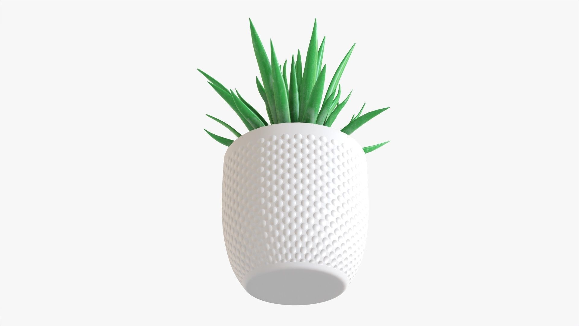 Decorative succulent potted plant 11 3D model_2