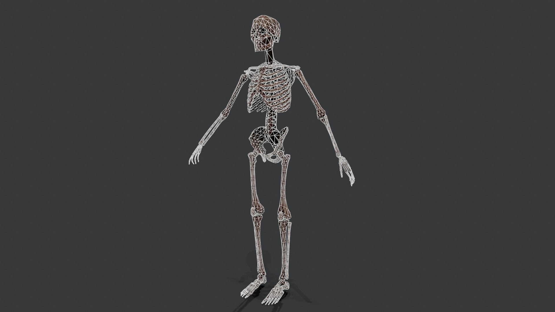Skeleton Warrior 2 Low-poly 3D model_11