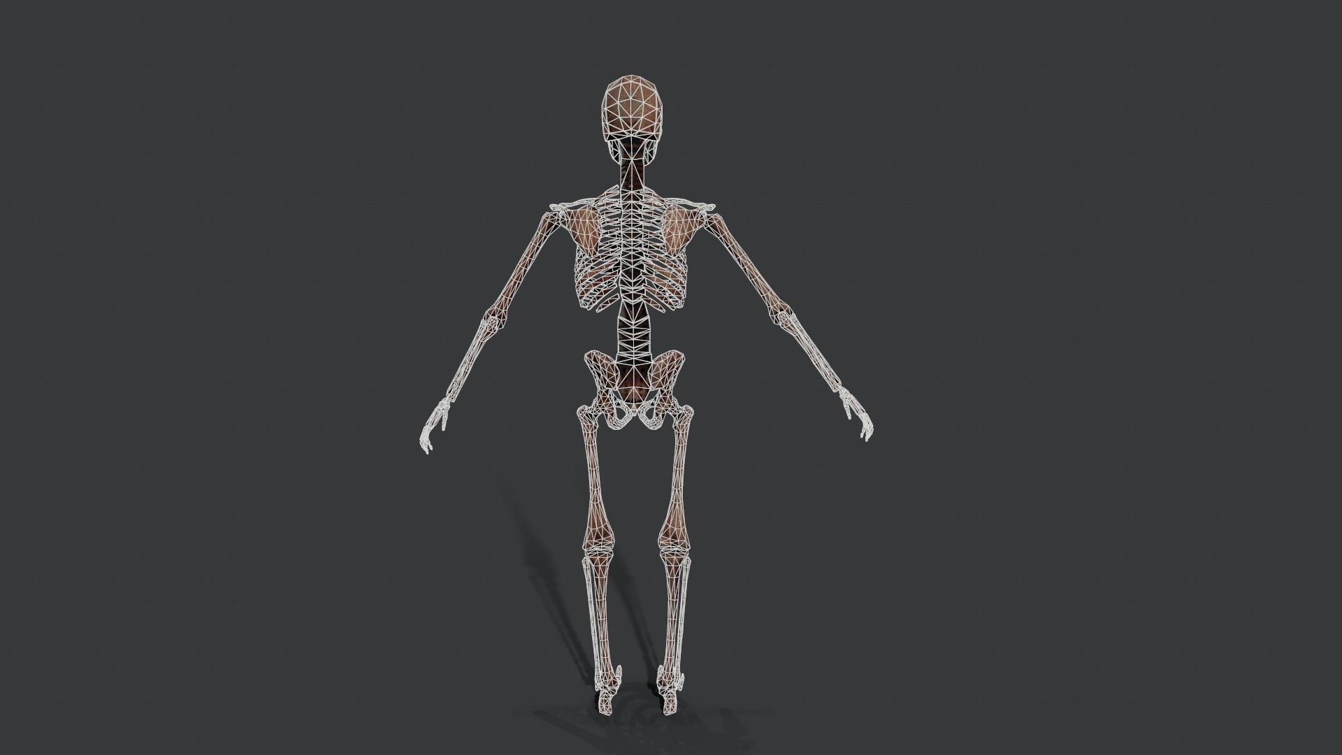Skeleton Warrior 2 Low-poly 3D model_14