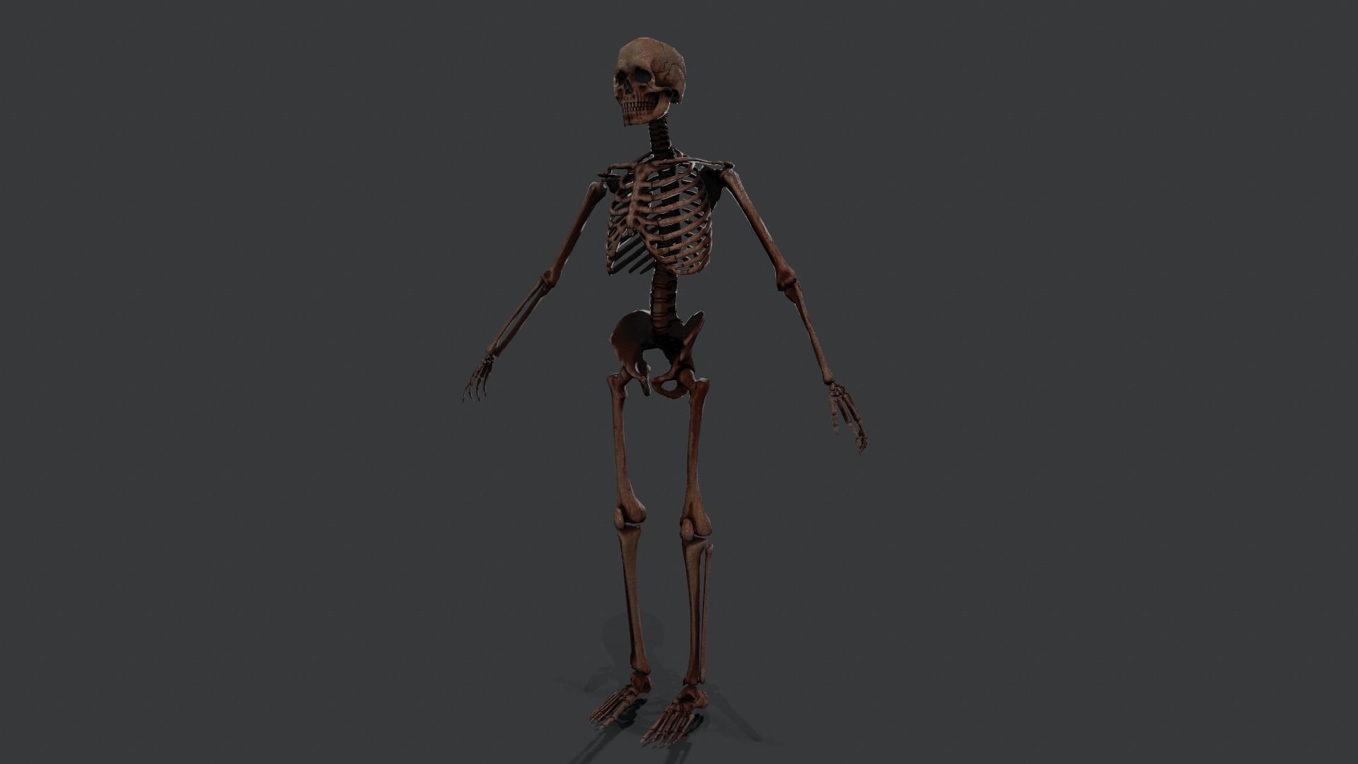 Skeleton Warrior 2 Low-poly 3D model_4