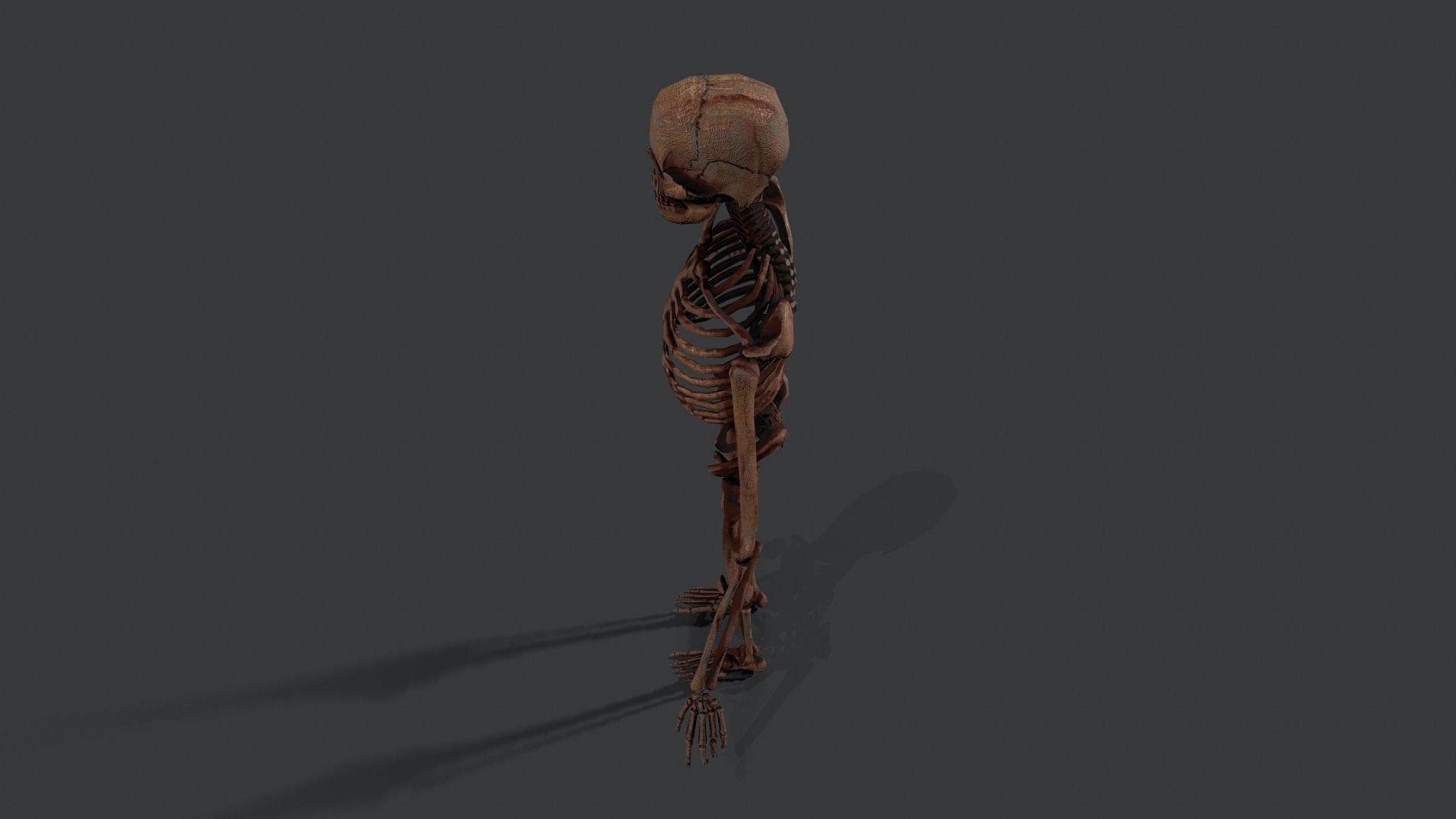 Skeleton Warrior 2 Low-poly 3D model_19