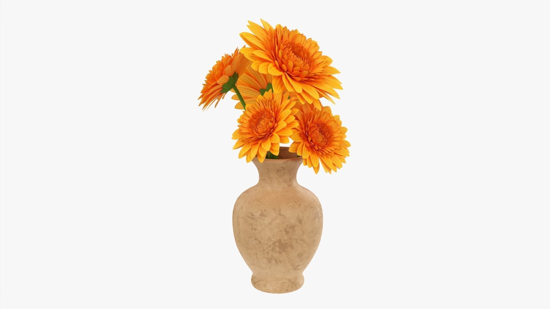 Gerbera in vase v1 3D model_1