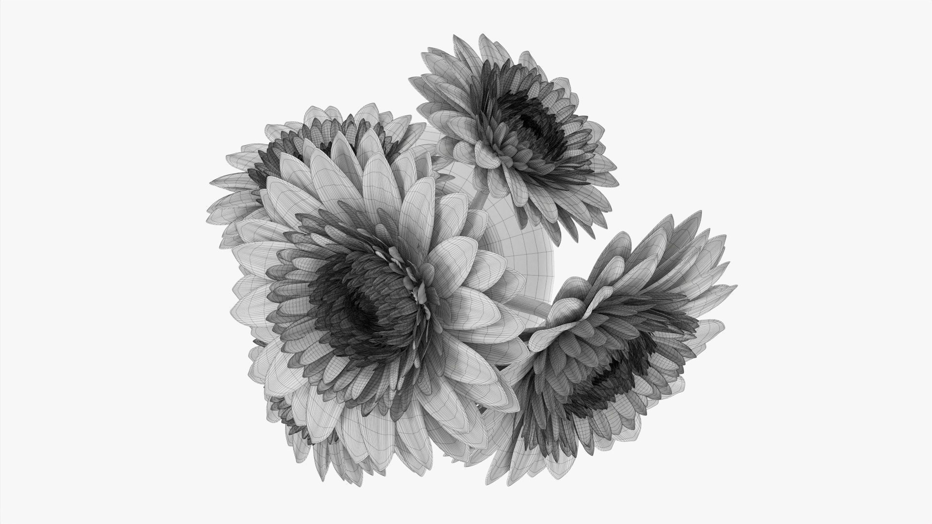 Gerbera in vase v1 3D model_7