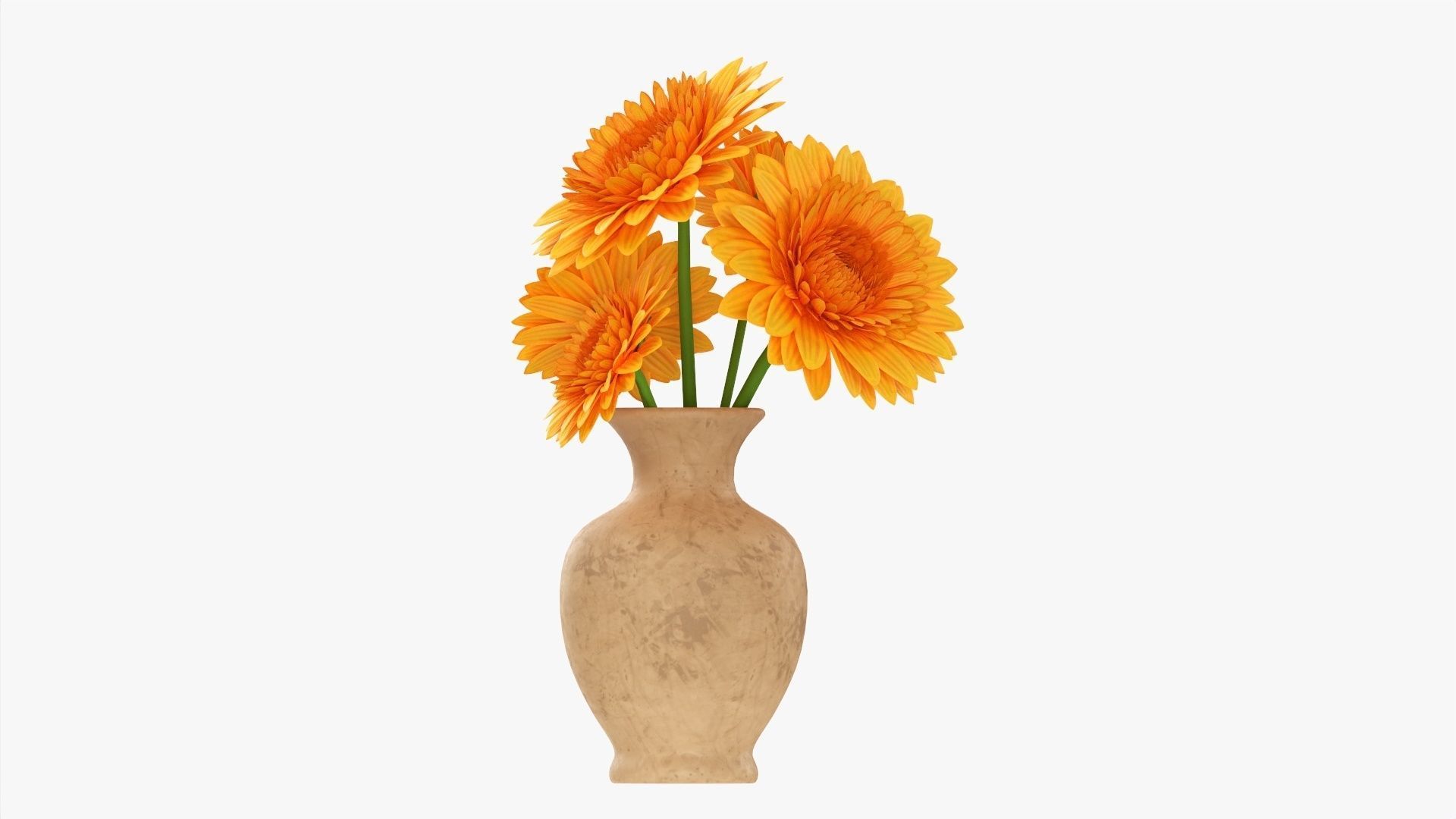 Gerbera in vase v1 3D model_3