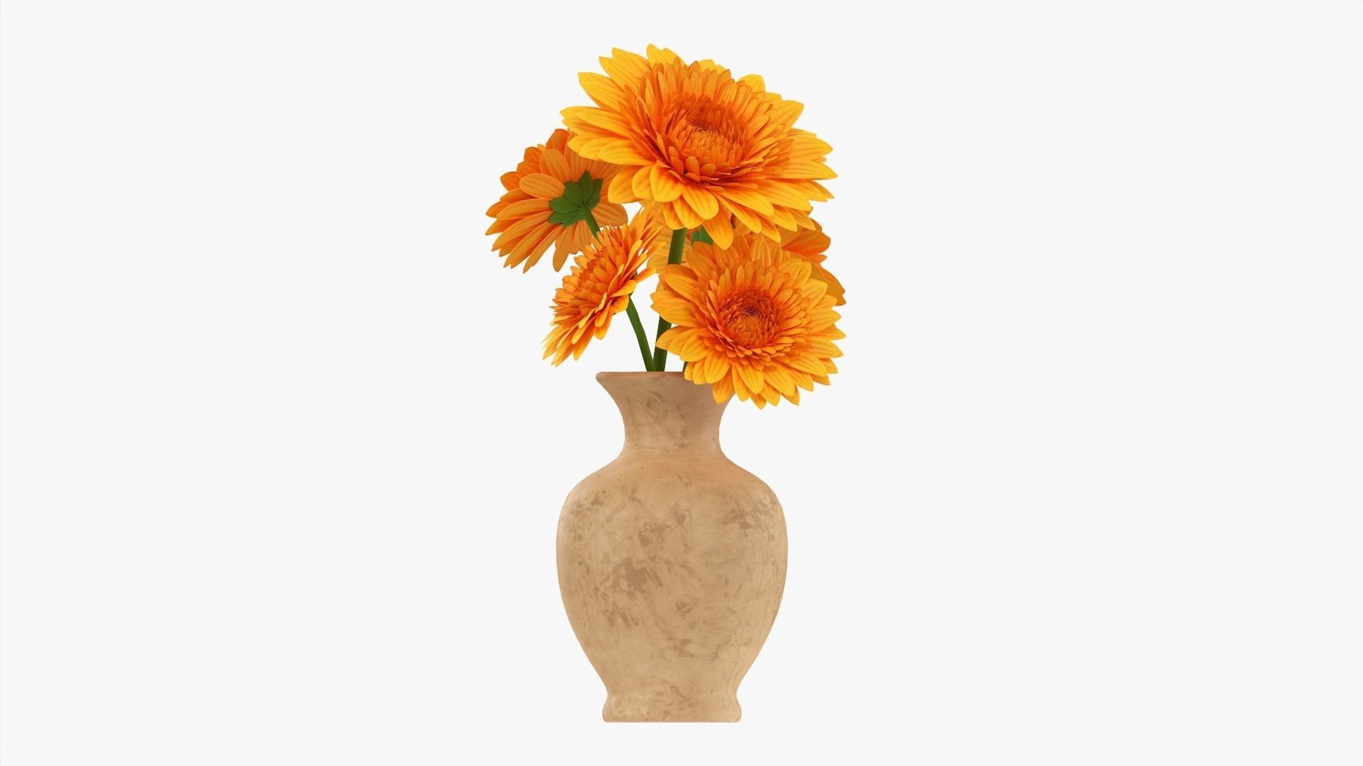 Gerbera in vase v1 3D model_4