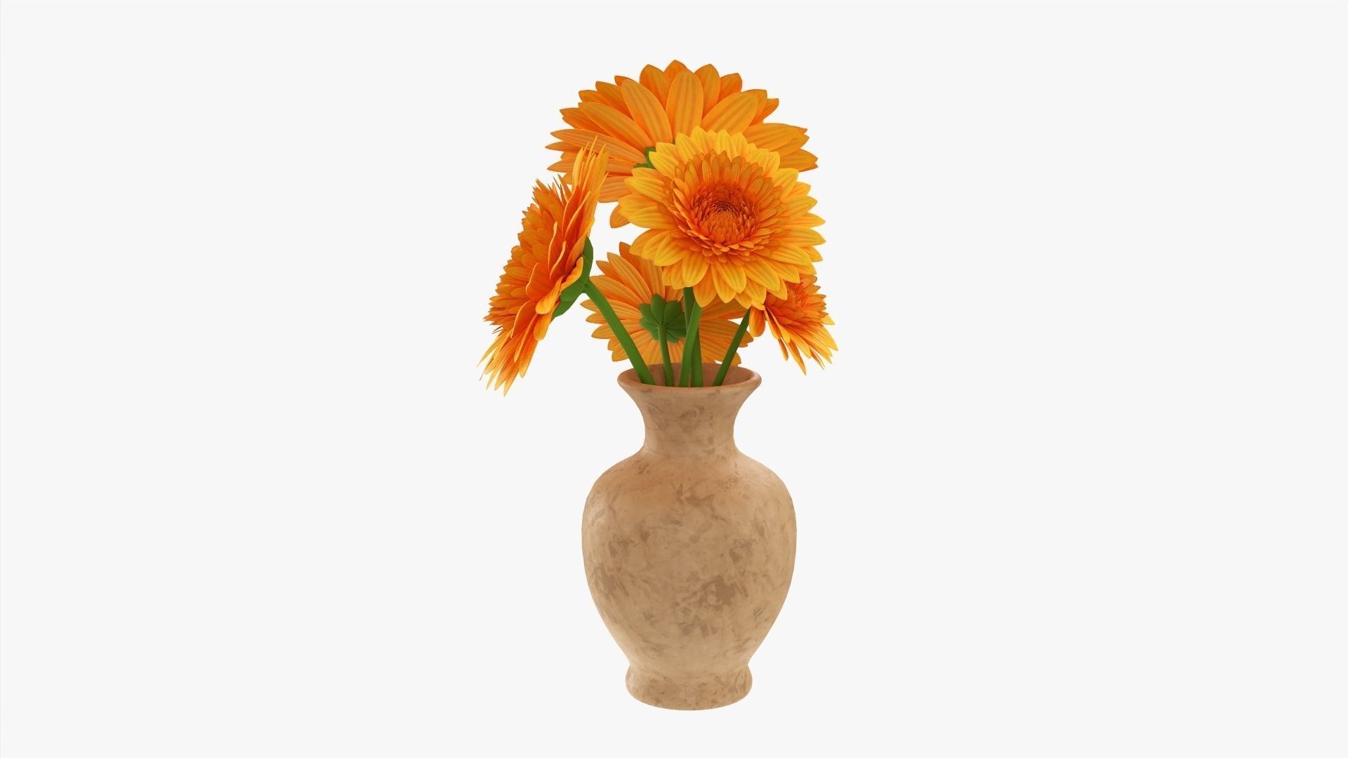 Gerbera in vase v1 3D model_2