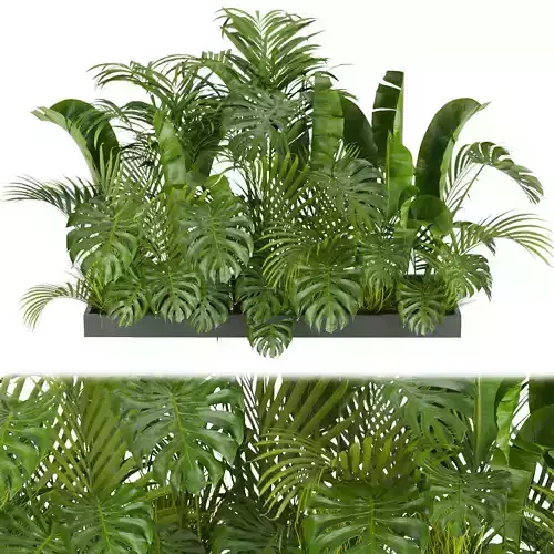 Collection plant vol 300 - outdoor - banana - monstera - leaf