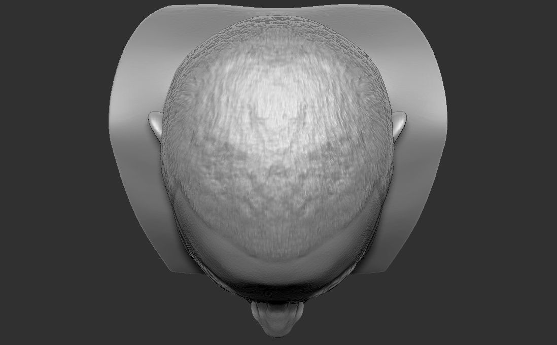 Mac Miller bust for 3D printing 3D print model_25