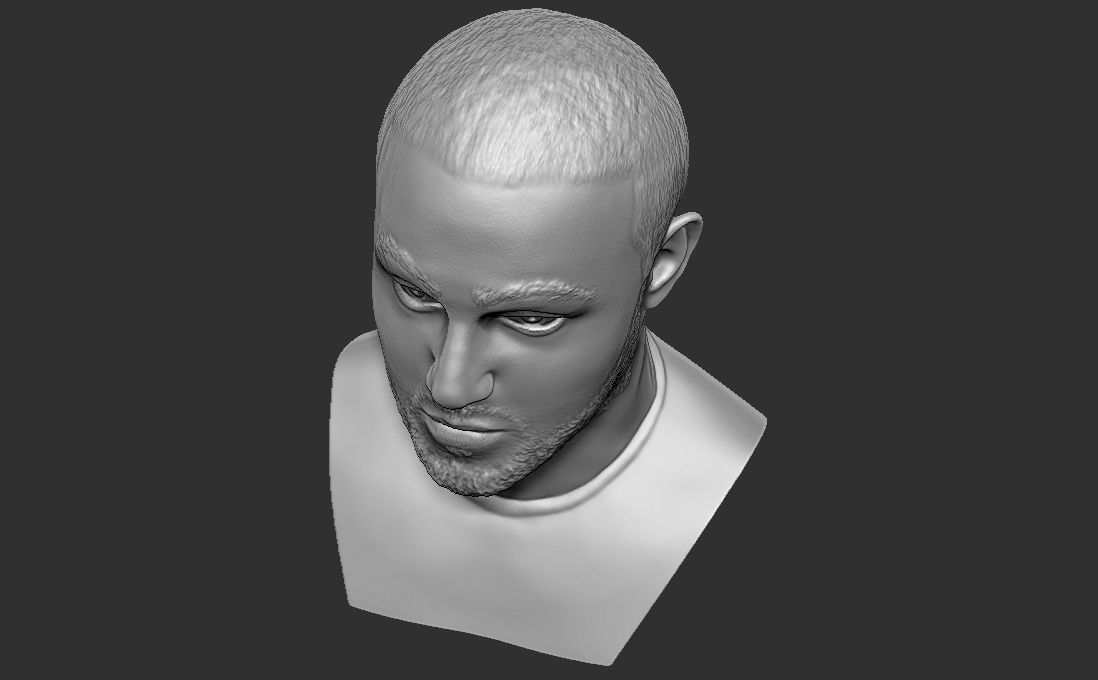 Mac Miller bust for 3D printing 3D print model_23