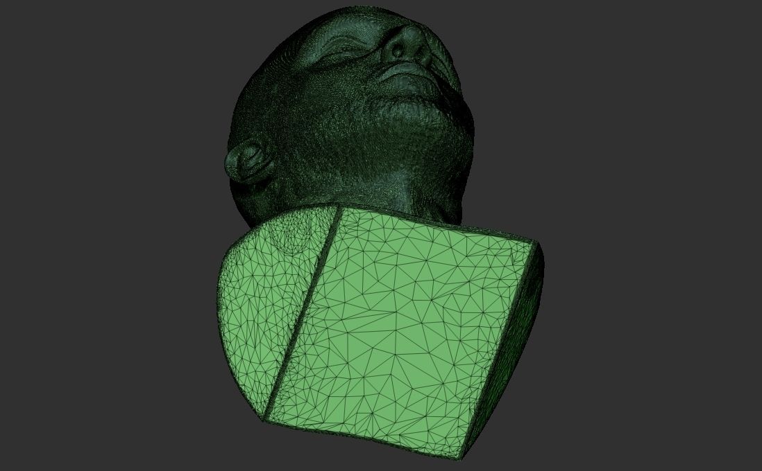 Mac Miller bust for 3D printing 3D print model_33