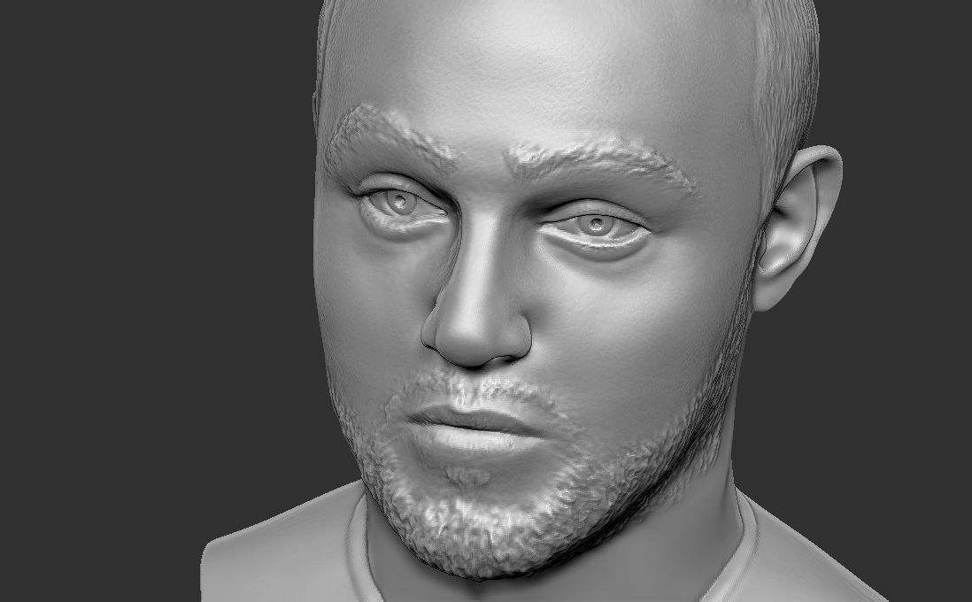 Mac Miller bust for 3D printing 3D print model_22