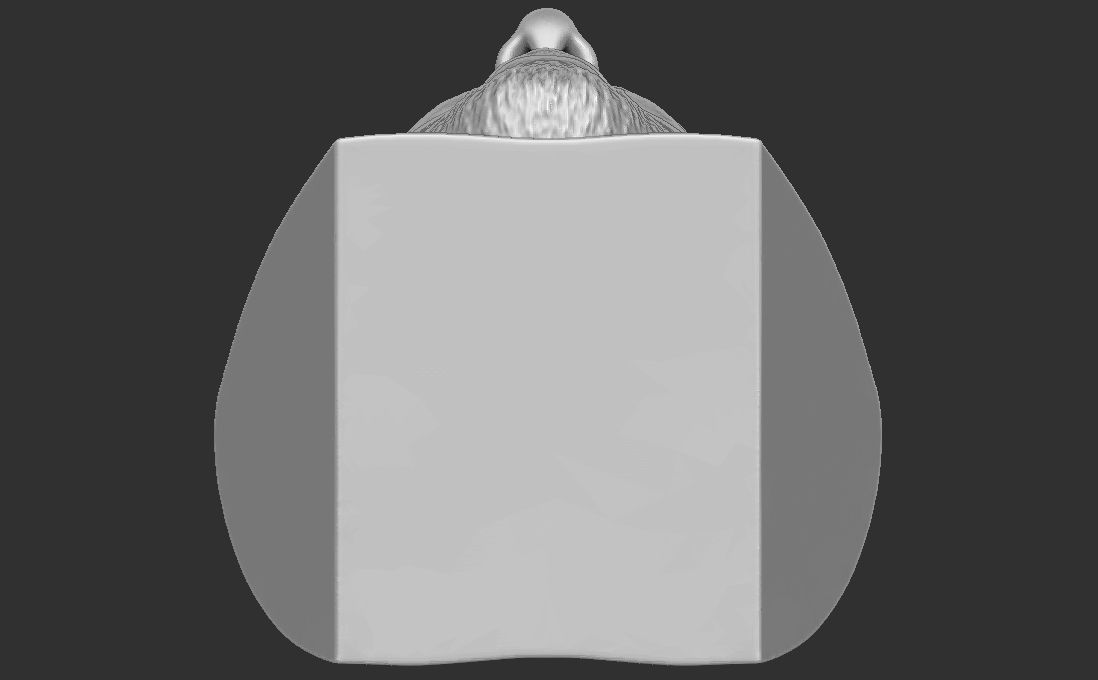 Mac Miller bust for 3D printing 3D print model_28