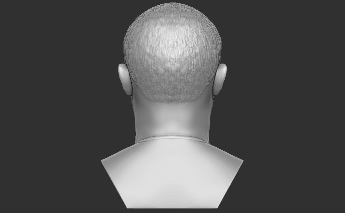 Mac Miller bust for 3D printing 3D print model_10