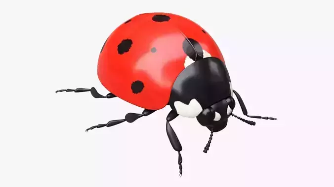 Ladybug 3D model