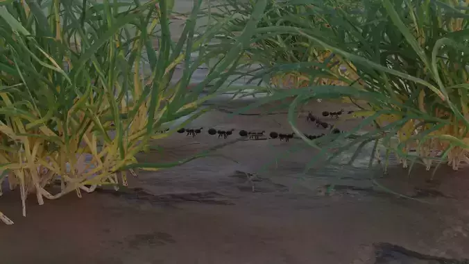 Insects and birds Free low-poly 3D model