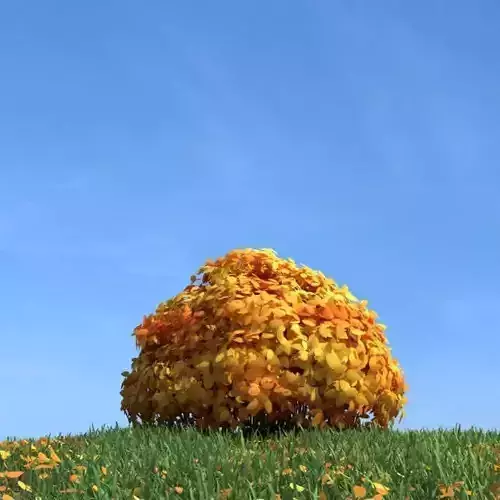 Yellow Autumn Shurb