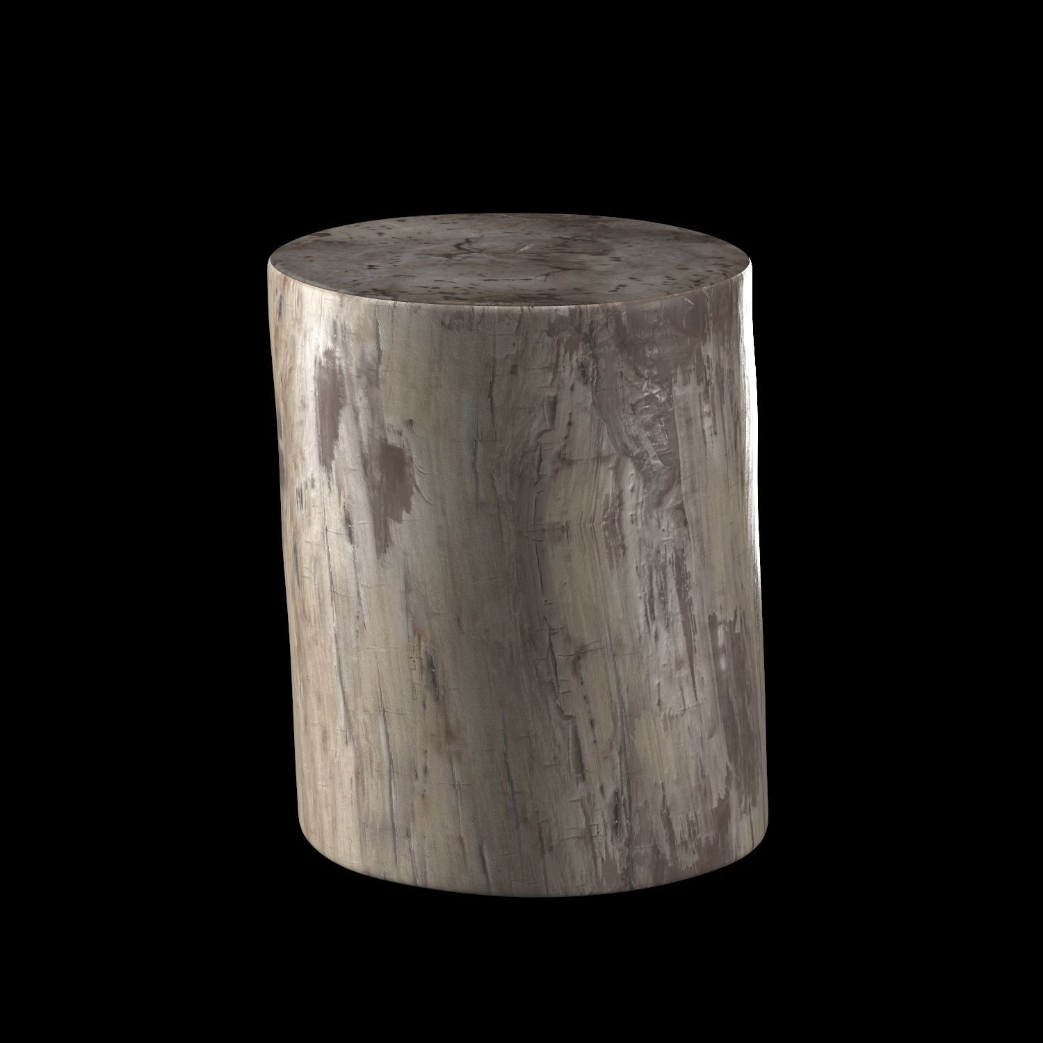 Petrified Stump Side Table 3D model_5