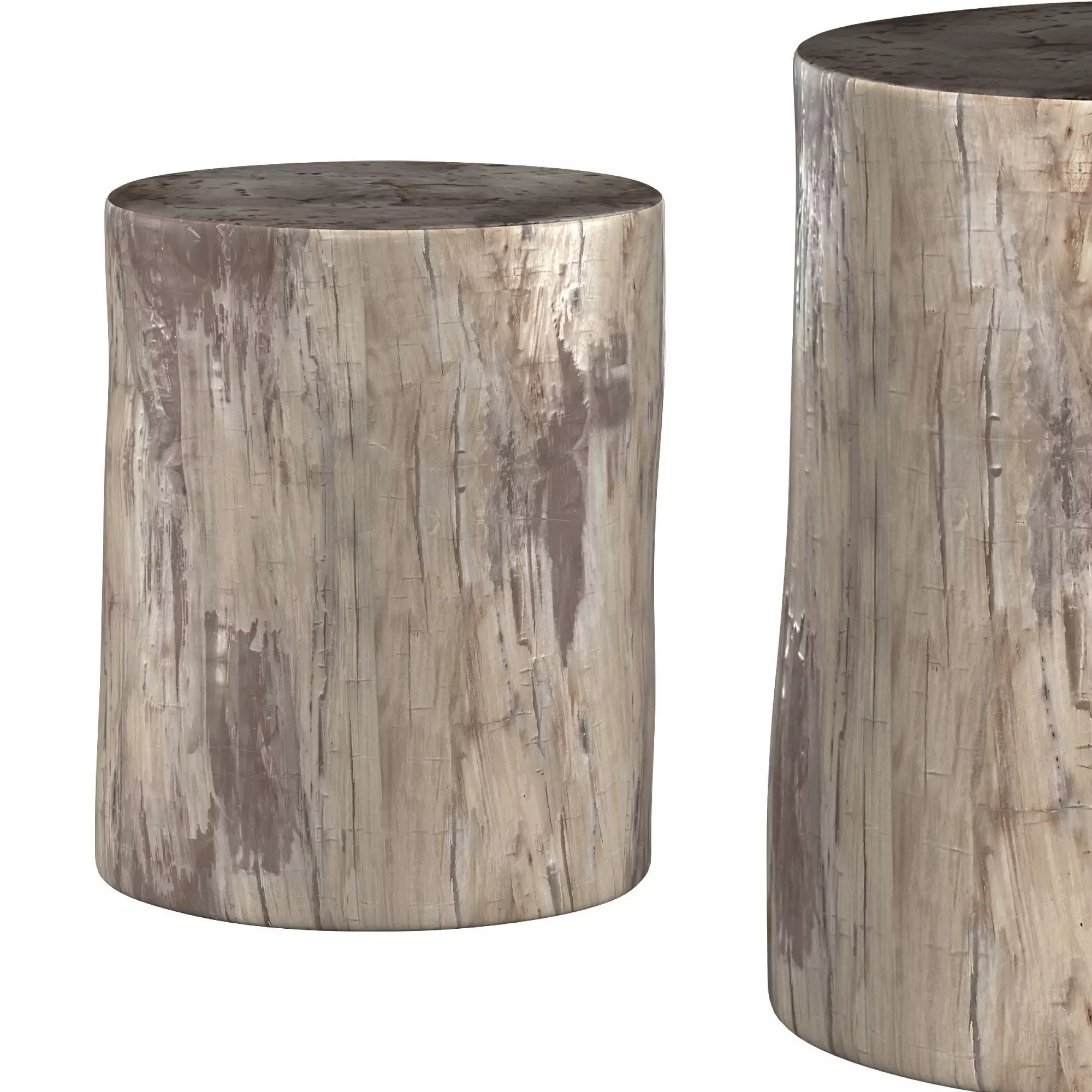 Petrified Stump Side Table 3D model_0