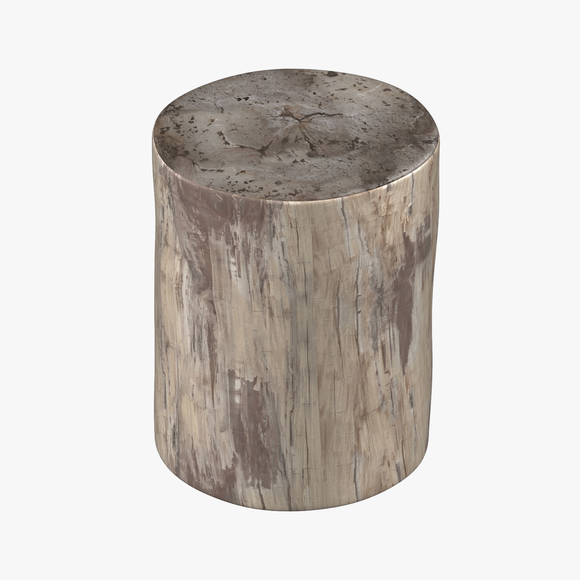 Petrified Stump Side Table 3D model_2