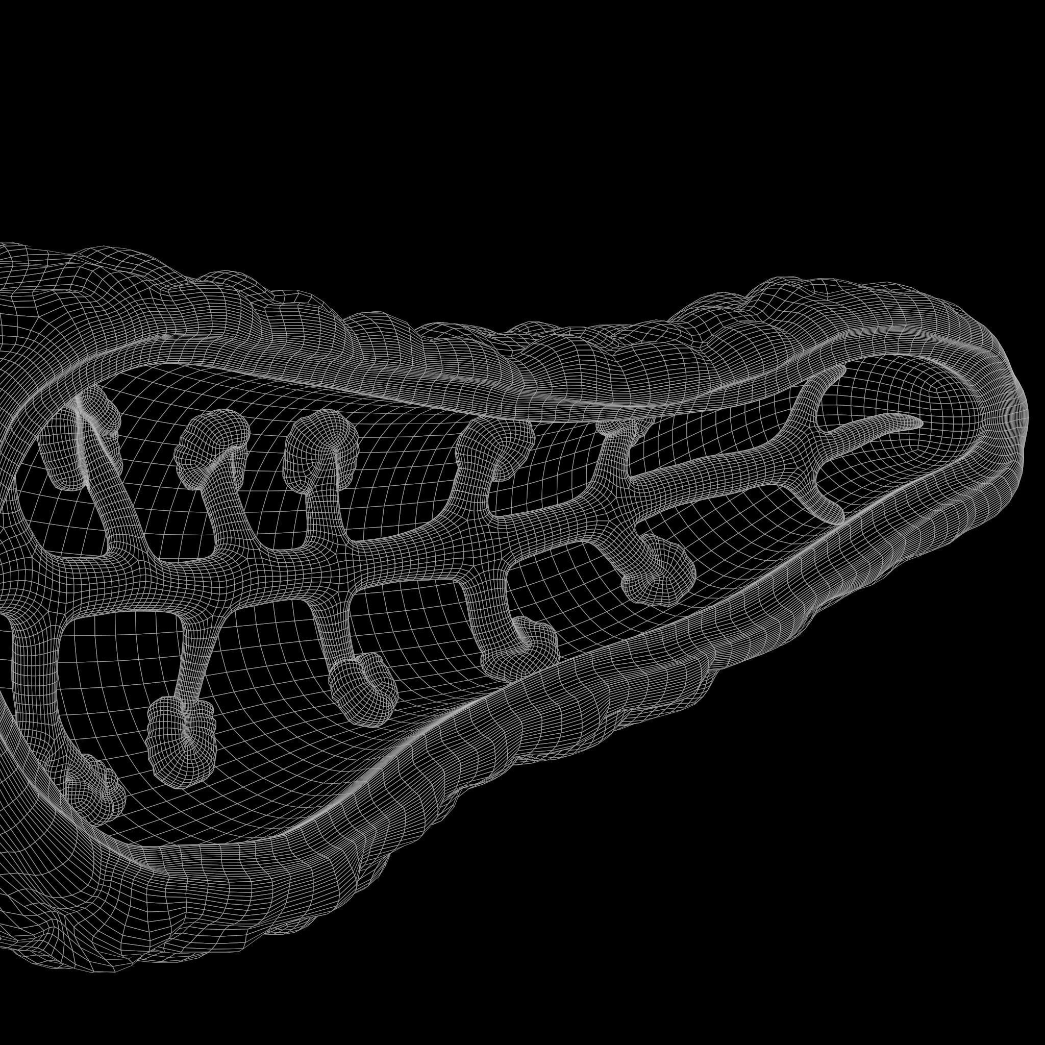 Human Pancreas Anatomy 3D model_7