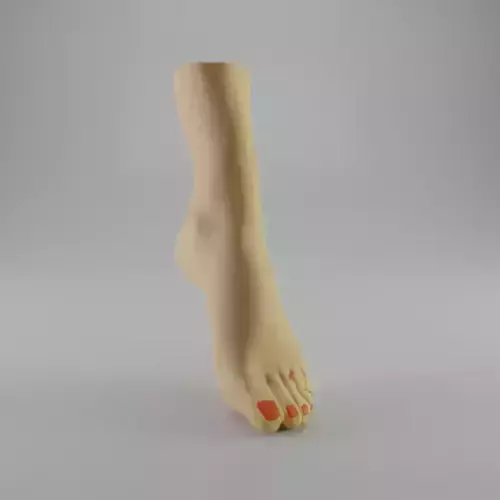 Womens foot