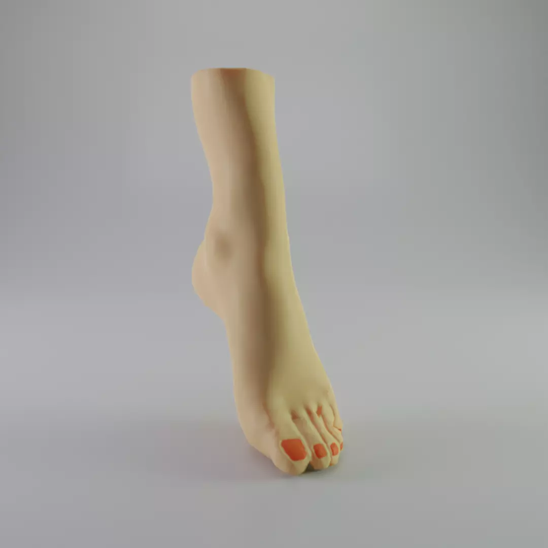Womens foot Free low-poly 3D model_0