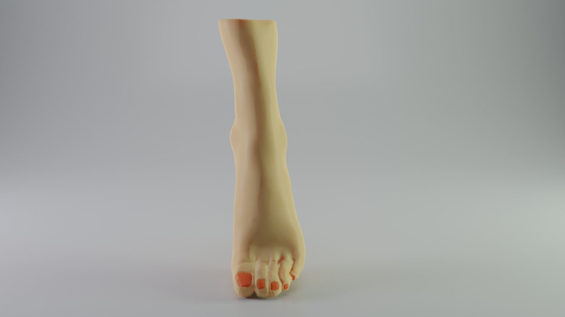 Womens foot Free low-poly 3D model_2