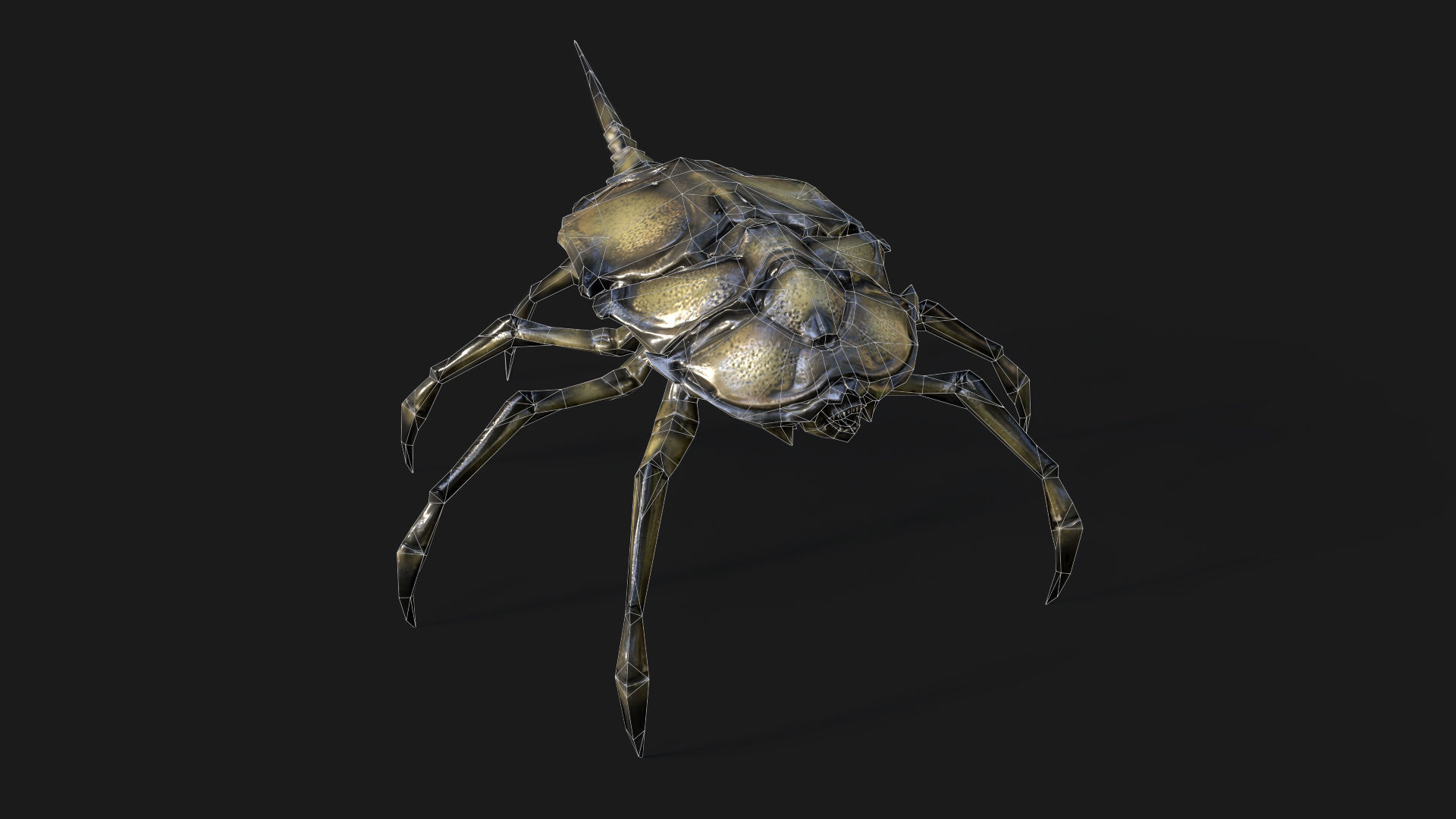 Insect Crawler Low-poly 3D model_7