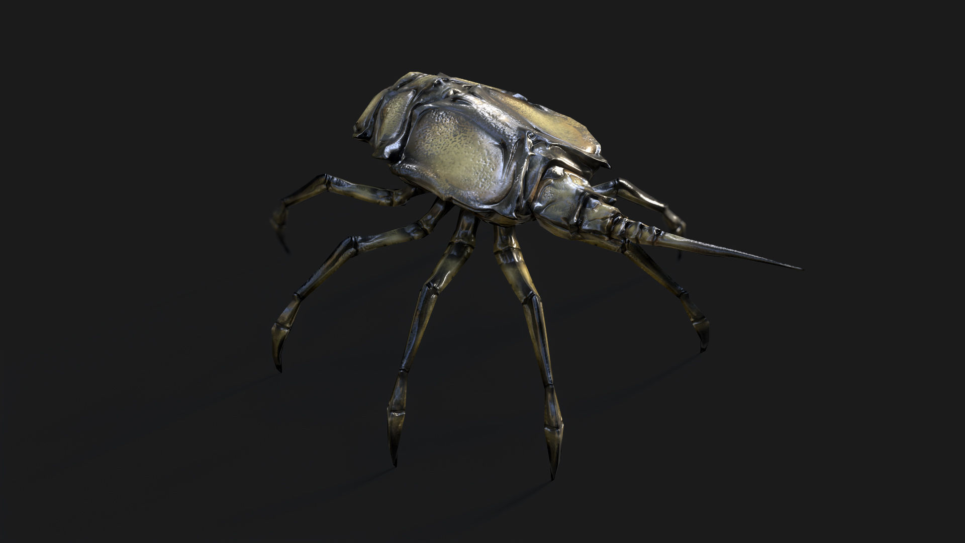 Insect Crawler Low-poly 3D model_4
