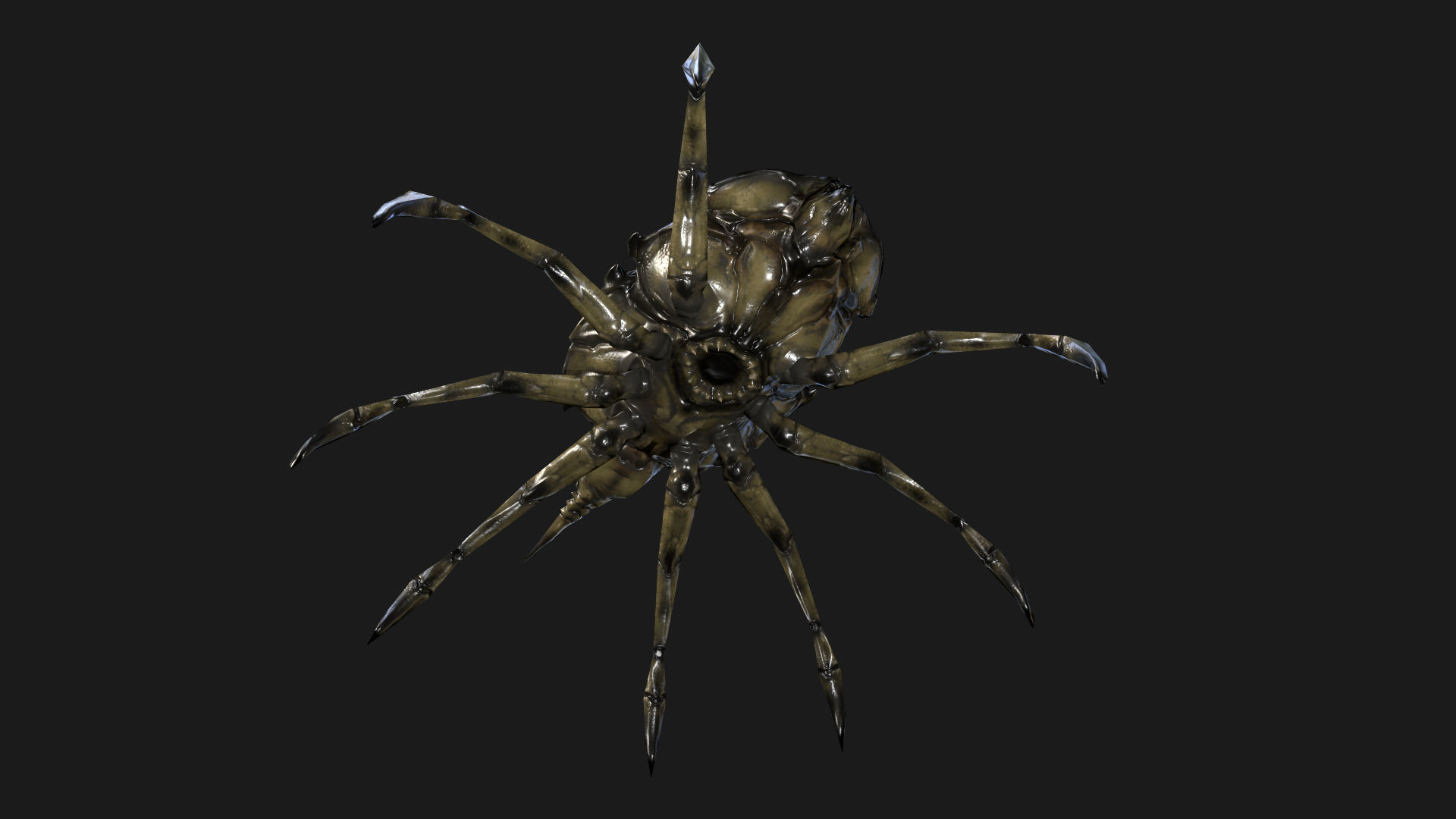 Insect Crawler Low-poly 3D model_5