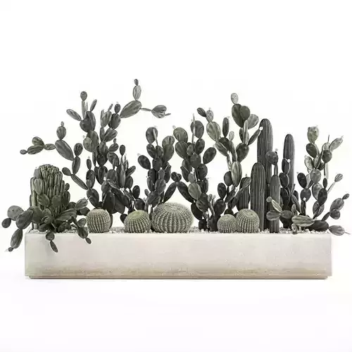 Prickly pear cactus collection in a concrete flowerpot 1103 3D model