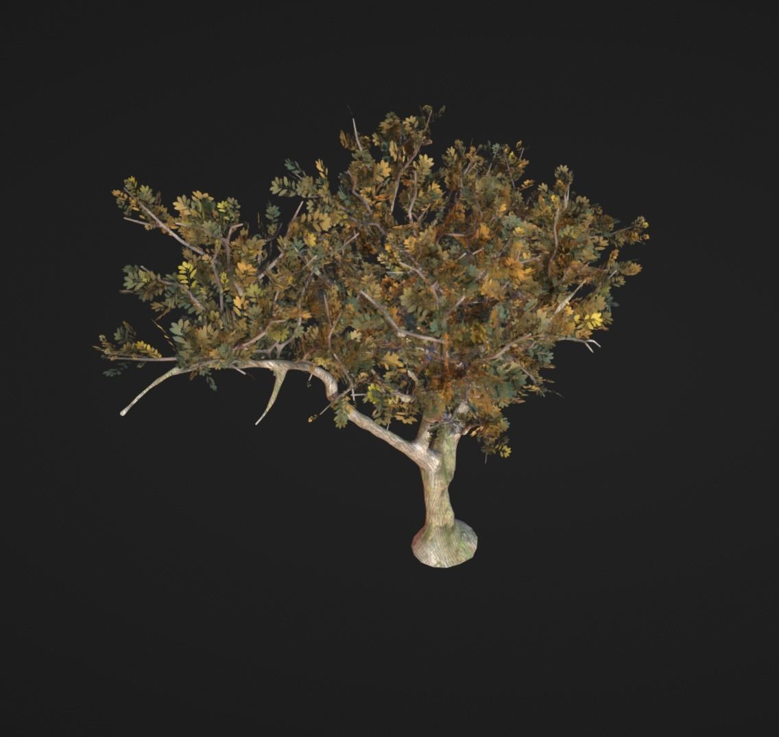5 tree import-ready set 3D model_4