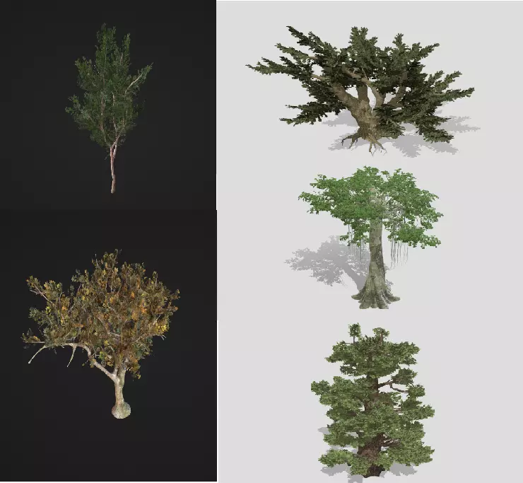 5 tree import-ready set 3D model_0