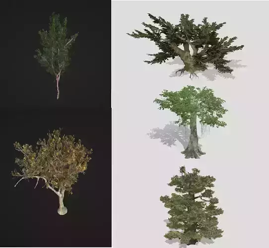 5 tree import-ready set