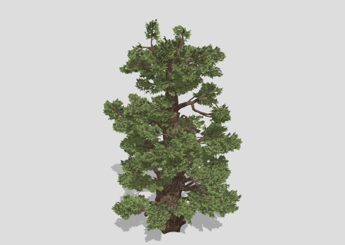 5 tree import-ready set 3D model_5