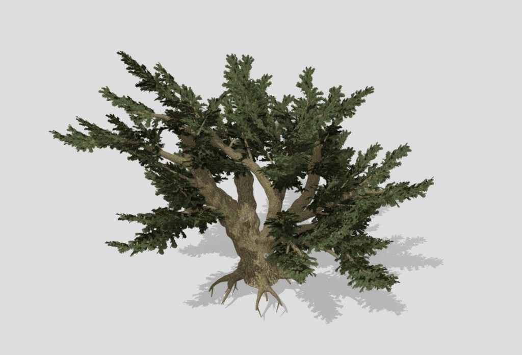 5 tree import-ready set 3D model_2