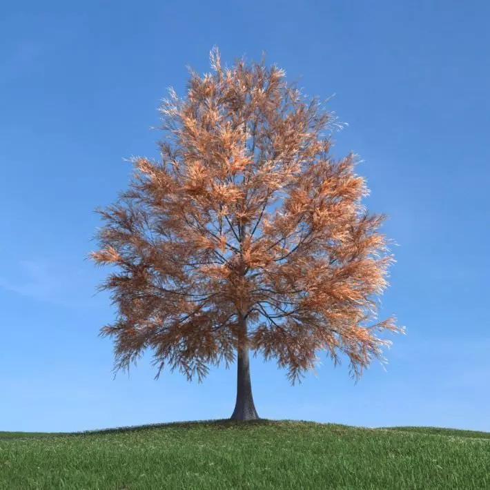Orange Colored Tree 3D model_0