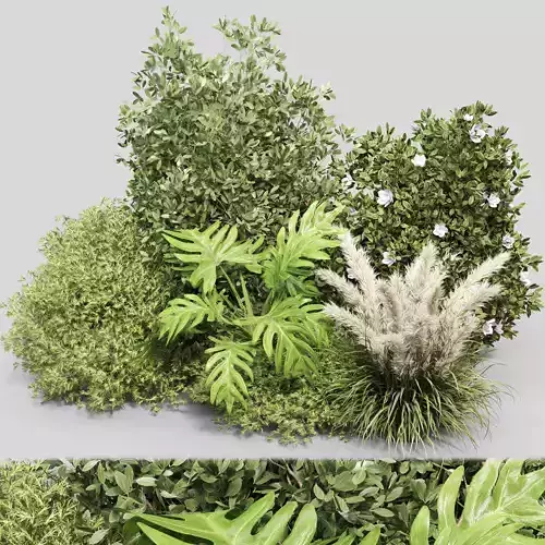 Collection mixed plants bush shrubs flower and papmpas set 03