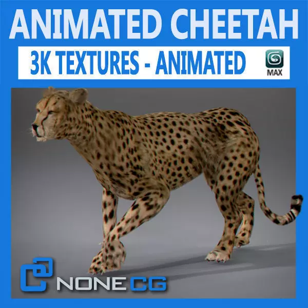 Animated Cheetah 3D model