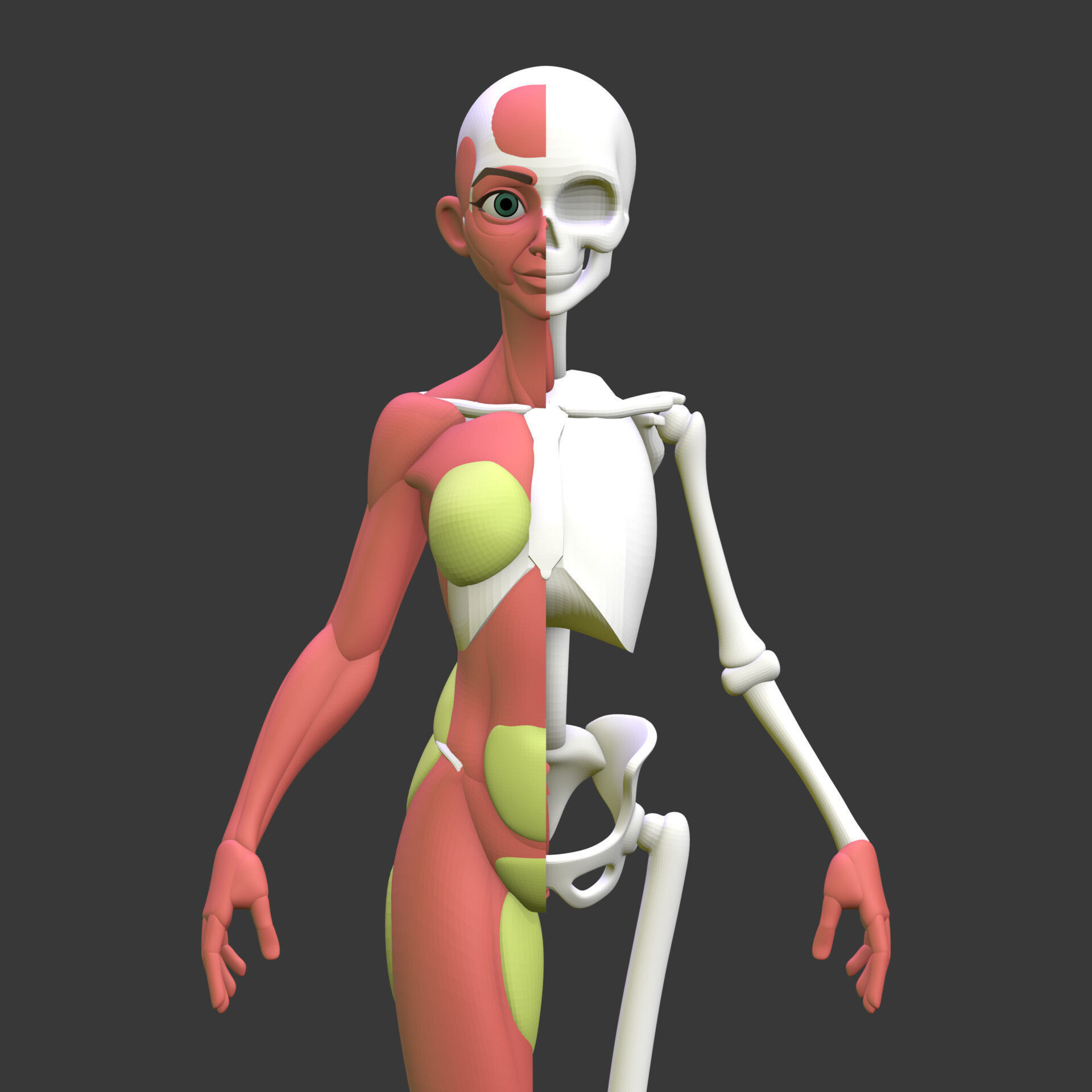 Stylized Female Anatomy Blockout 3D model_4