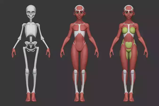 Stylized Female Anatomy Blockout 3D model