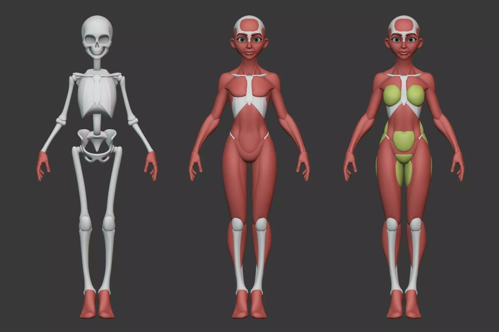Stylized Female Anatomy Blockout 3D model_0