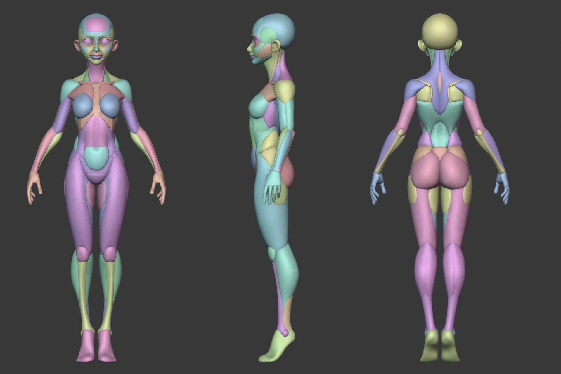 Stylized Female Anatomy Blockout 3D model_5