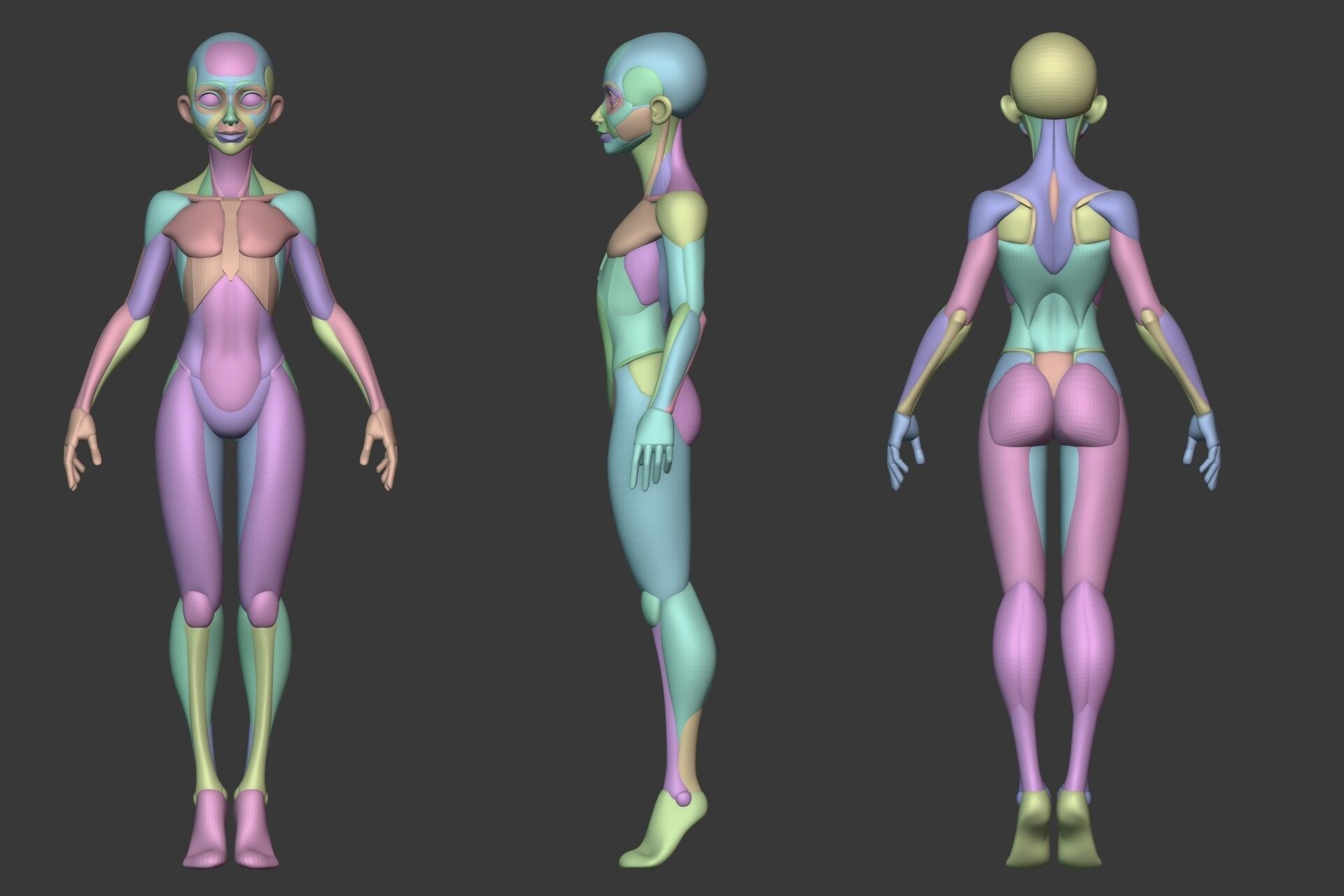 Stylized Female Anatomy Blockout 3D model_6