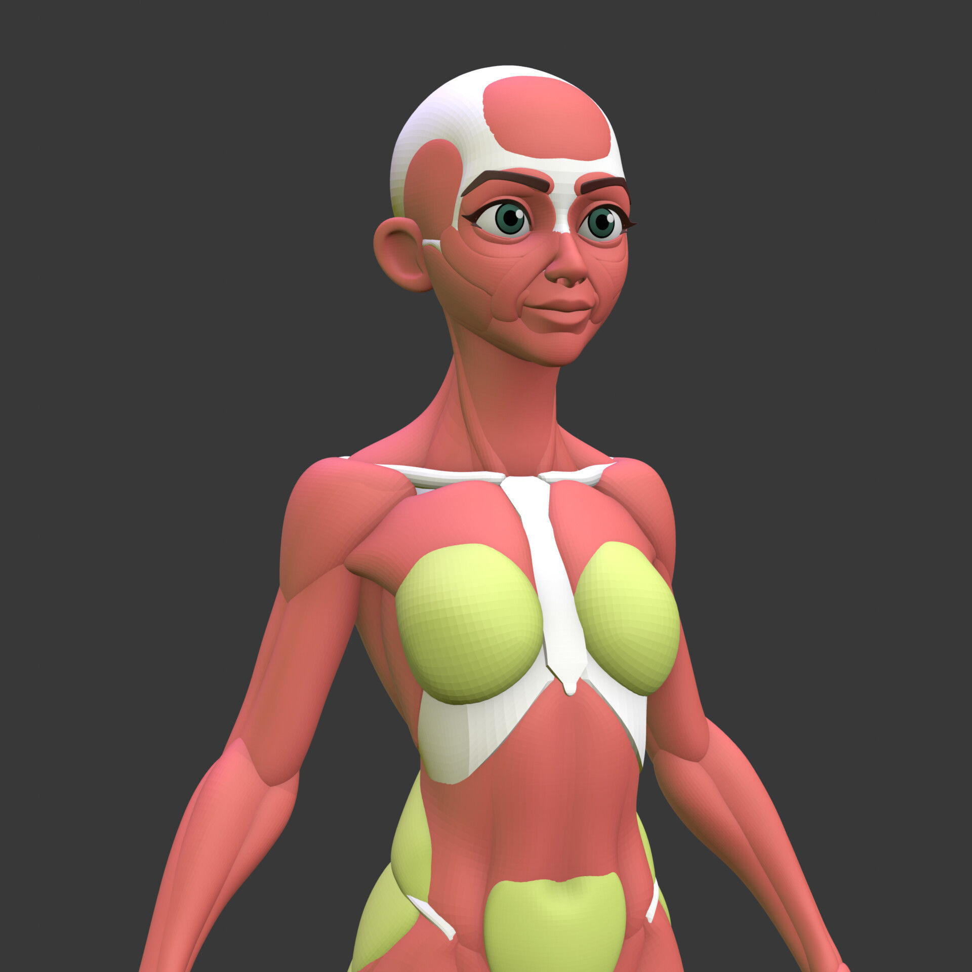 Stylized Female Anatomy Blockout 3D model_3
