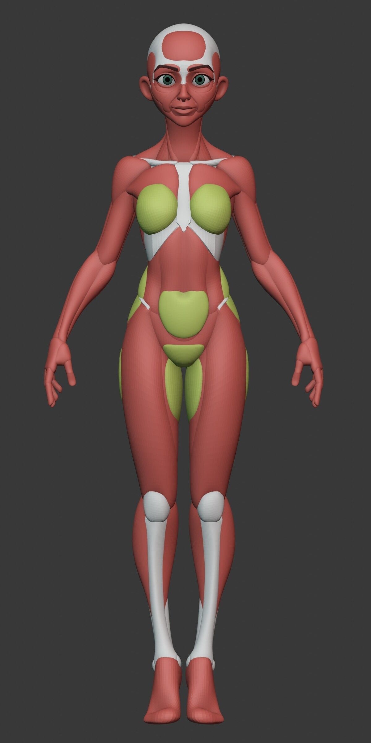 Stylized Female Anatomy Blockout 3D model_12