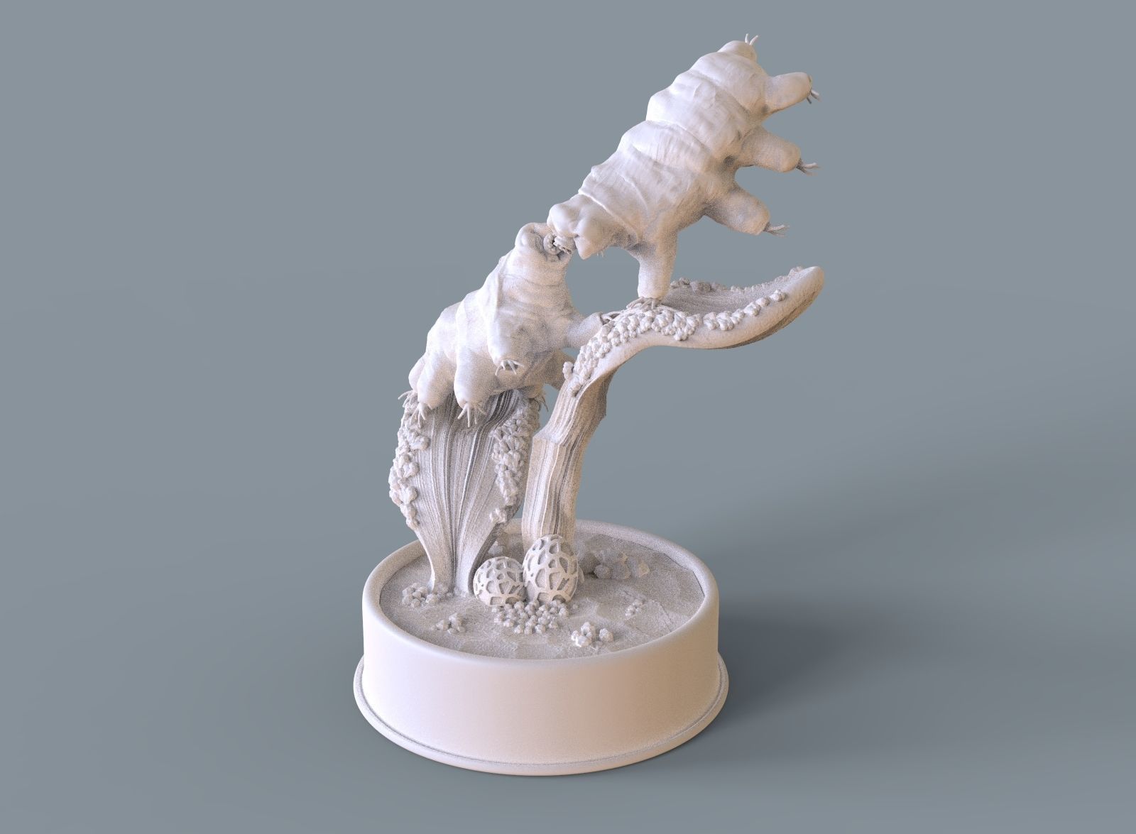 Moss Piglets 3D print model_7