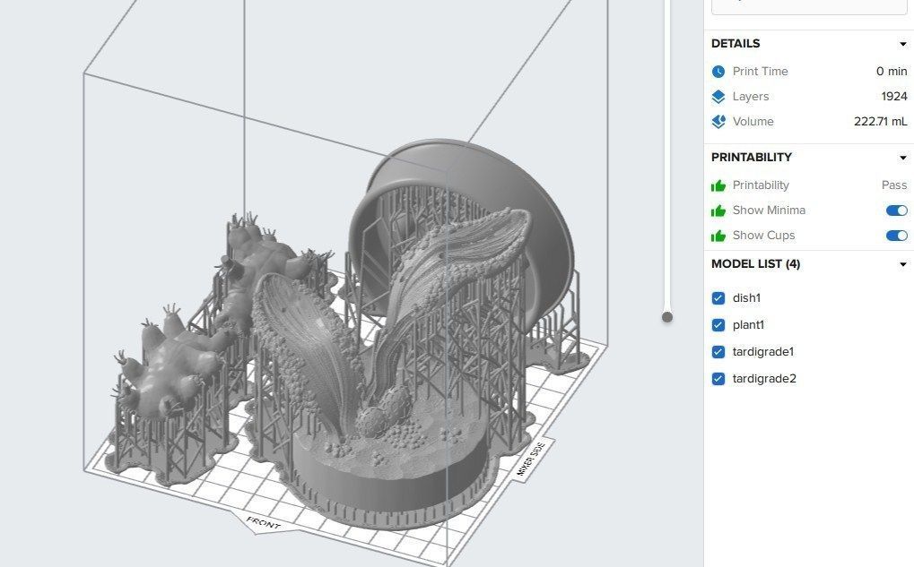 Moss Piglets 3D print model_16