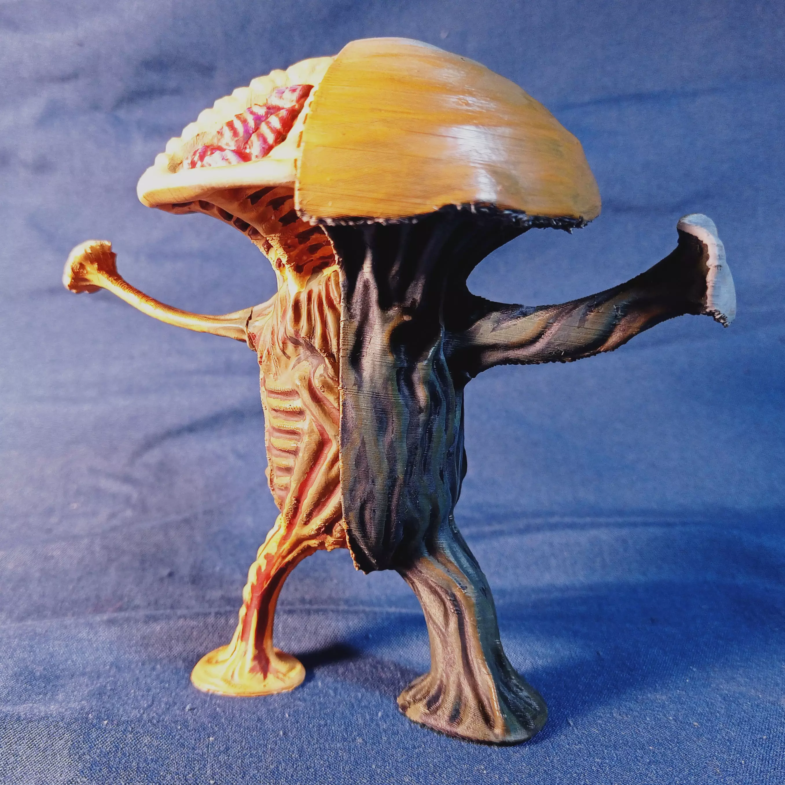 Mushrooman dissected fungi creature Free 3D print model